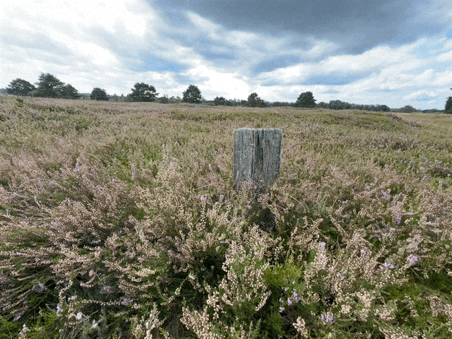 Vorlage limitierte Leistung